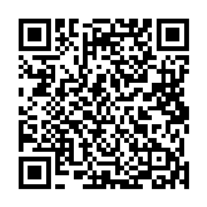 希望让孙海带领来帮助荣光适应国家队在海埂的集训生活二维码生成