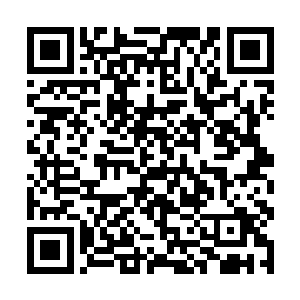 希望青岛德国公民的人身和财产安全得到归国的保护二维码生成