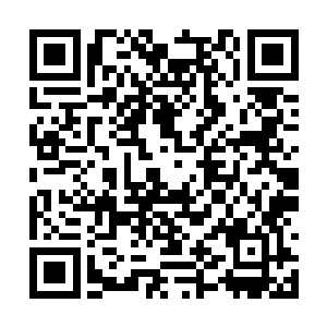 帐篷口还有另外几个按照严默吩咐临时弄出的火堆二维码生成