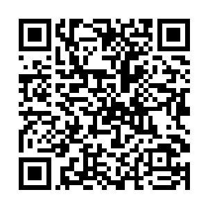 帕翠西娅只觉得自己这么多年的等待与付出都值得了二维码生成