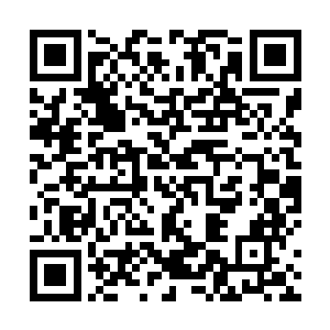 帕雅那双跟波斯猫有得一拼的宝石眼睛闪现狡黠的神色二维码生成