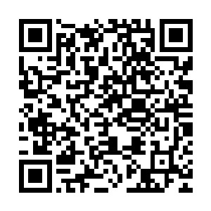 帝国平民中具有修炼潜质的人数比例还没有这个坟场里的来得高二维码生成
