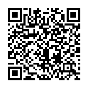 帝国首都星的精英家庭的子女身后都有一张极其复杂的关系网二维码生成