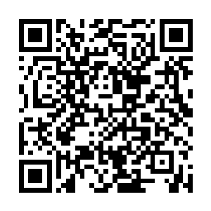 带他们出汴梁的蔡宣抚副使看在大家都是汴梁子的份上二维码生成