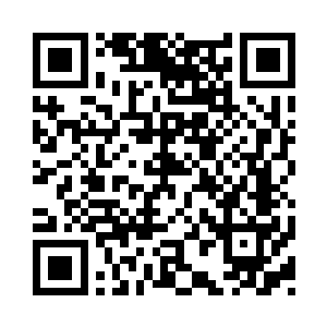 带她的人给她安排了一个简单的实习任务二维码生成