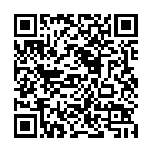 带有诸位一丝魂力的能量弹会从投票器中投往收集骨屏二维码生成