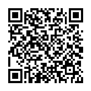 带来的却是宝石湾根本没有什么白旗商会的消息二维码生成