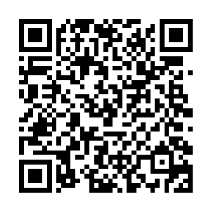 带来的灵气还有化成的资源足以让我方修者实力再增二维码生成