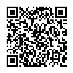 带着一大批的流民来到距离都城十里开外的湖泊二维码生成