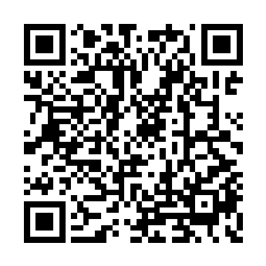 带着一支十多人的佣兵小队向着远处的镇子摸去二维码生成