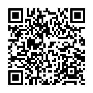 带着十几人名字和法印的回执玉碟最终回到了苗毅的手中二维码生成