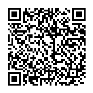 带着另外两个抱着北辰龙和北辰威的奶娘朝着流字辈小子所在之处走去二维码生成