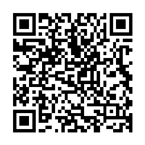 带着哭声的喊话让对峙的父子两个人身体不约而同的震了一震二维码生成