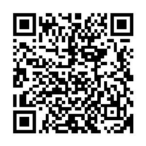 带着庞大动能与锋锐斗气的枪头立即撕裂了食人魔统领的防御二维码生成