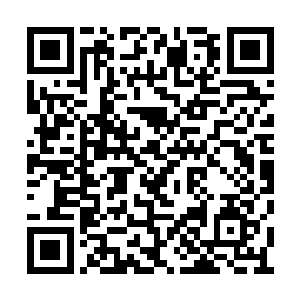 带着期待的目光看向已经撤去结界的柳非笑几人二维码生成