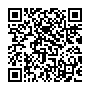 带着点难以置信的神色看着突然之间就好像实力暴涨一般的幽灵二维码生成