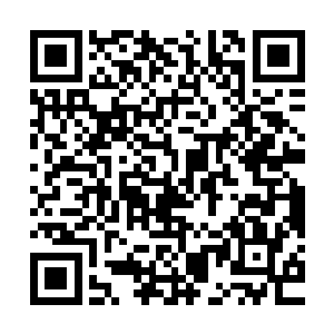 带着让稍远处早已听的一清二楚的仙人们一阵无语又好笑的心绪二维码生成