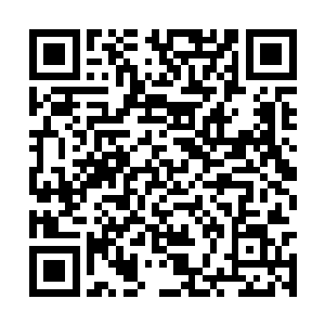 带着跟在他屁股后头玩耍打闹的姐弟幼夔走回车队二维码生成