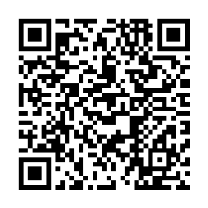 带着还是幼年期的毒鳌逃出那个神秘却有强大无比的组织的二维码生成