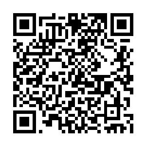 带给他的却是似乎比第一次还要强烈的视觉冲击二维码生成