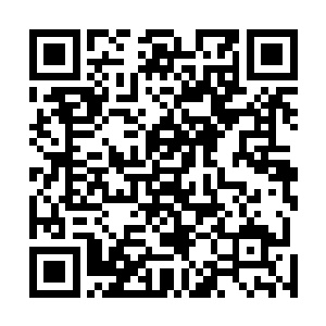 带路的汽车直接把高扬他们领到了苏尔特市内最大的医院二维码生成
