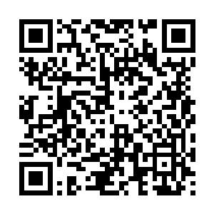 帮我去吞并掉东兴……今晚我就不陪老公你睡觉了二维码生成