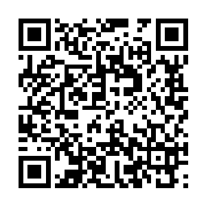 帮着她抱住肚子里的孩子也算是还了她这份恩情了二维码生成