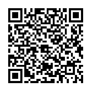 常年生长在冰雪国度的她又怎能不明白雪崩的意义二维码生成