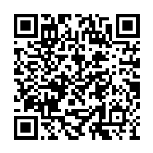 常雨泽很快调出公检法和信访局的网上举报材料二维码生成