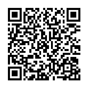 幕白此时显然也注意到了周围的那些成片的灵药二维码生成