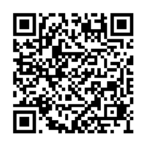 干眼看着那白猫唰唰两下就跳到了柳树的树干上二维码生成
