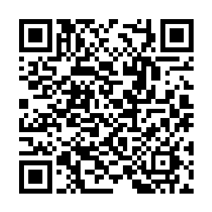 干脆地挥舞着仙剑和这些符人轰轰隆隆地干了起来二维码生成