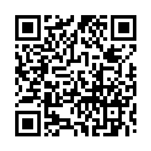 平均下来每支乐队都有十五分钟的表演时间二维码生成