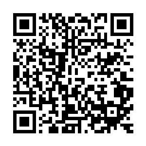 平常这些达官贵人们看见他们不是呵斥打骂驱赶就是嗦狗追咬二维码生成