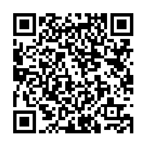 平日里祖武星域小辈所遭受的冷嘲热讽可不在少数二维码生成