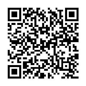 平时主要负责队员们的生活起居以及比赛日程安排二维码生成