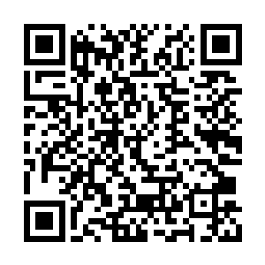 平时他们谈回扣商讨价格的时候都没这么谨慎过二维码生成