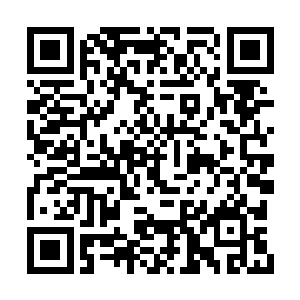 平时冷着的那张像是谁欠他千百张兽皮一样的脸二维码生成