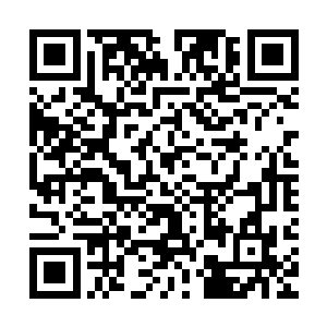 平时听到一个准尊者死亡或者一个法则之力十万点以上的人死亡二维码生成