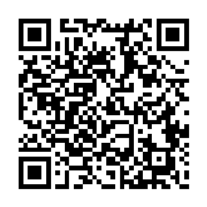 平时弱弱的小丫头一但较起真儿来也是够人一受二维码生成