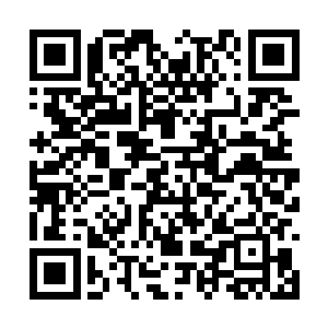 平时最喜欢做的事情就是在学生们都来吃饭的时候二维码生成