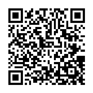 平时看管了他们冷着脸的青云真是不习惯这两张没神采的脸二维码生成