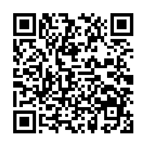 年少了好几岁的玛姬与一个美丽的中年女人正欢笑玩耍二维码生成