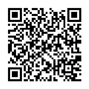 年纪不大资历不深就仗着被炒红了牛毙的一塌糊涂二维码生成