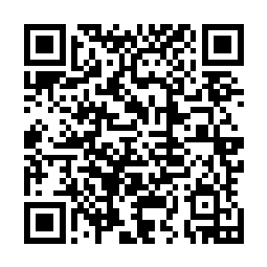 年轻女子扶着老者和君无敌走到了叶枝最茂盛的一颗大树下二维码生成