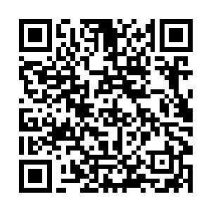 年轻的人就该去国外闯闯……我听说军部今年上半年二维码生成