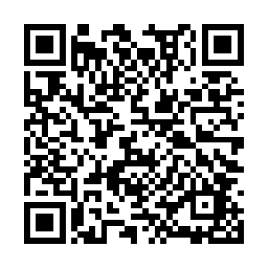 并不想就这样坐在家里等着沈丽缇和杜海琼的消息二维码生成