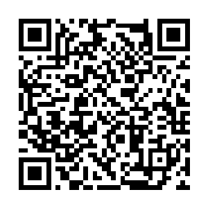 并不是苗仁鑫所在的那个……苗仁鑫这种杀人魔王二维码生成