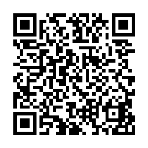 并不是说李甄妮就真的是整个燕京城里最漂亮的二维码生成