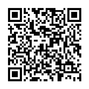 并不知道凌蘭他们早就神不知鬼不觉地离开了小镇二维码生成